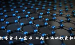 2023年数字货币山寨币：风