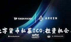 全面解析数字货币私募ICO：投资机会与风险并存