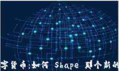 未来的全球数字货币：如何 Shape 那个新的金融生