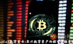 BabyCat数字货币：新兴数字资产的探索与投资机会