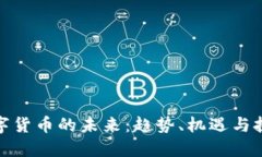 数字货币的未来：趋势、机遇与挑战