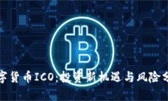 数字货币ICO：投资新机遇与风险分析
