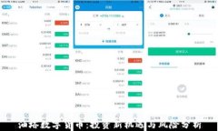 油塔数字货币：投资新机遇与风险分析