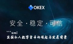 ```xml英国私人数字货币的崛起与发展前景
