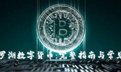 如何领取罗湖数字货币：完整指南与常见问题解