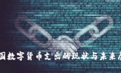 中国数字货币支出的现状与未来展望