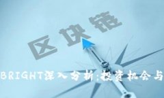 数字货币BRIGHT深入分析：投资机会与市场趋势