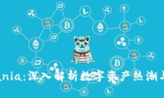 Token Mania：深入解析数字资