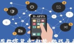 多地试用数字货币：趋势、挑战与未来展望