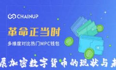 国家发展加密数字货币的现状与未来趋势